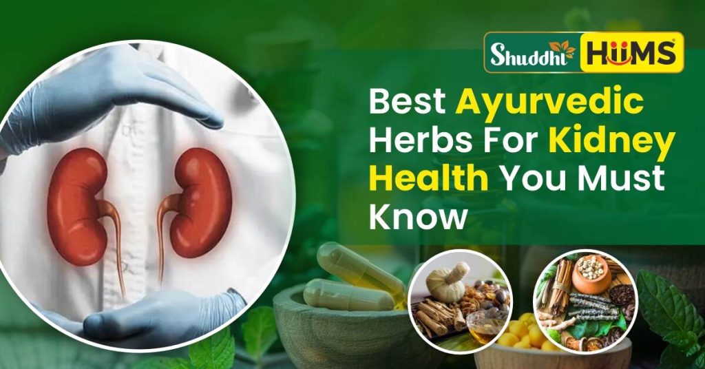 Best Ayurvedic Herbs for Kidney Health You Must Know