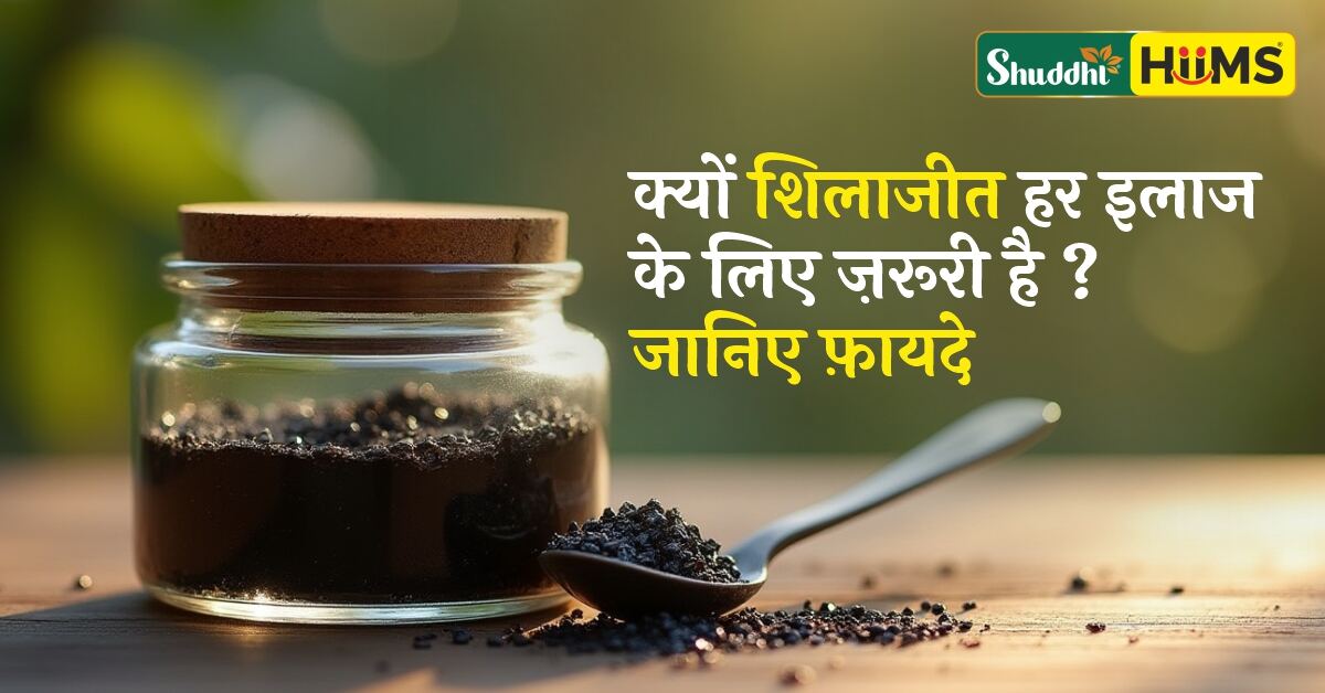 kyu-shilajit-har-ilaaj-ke-liye-zaroori-hai